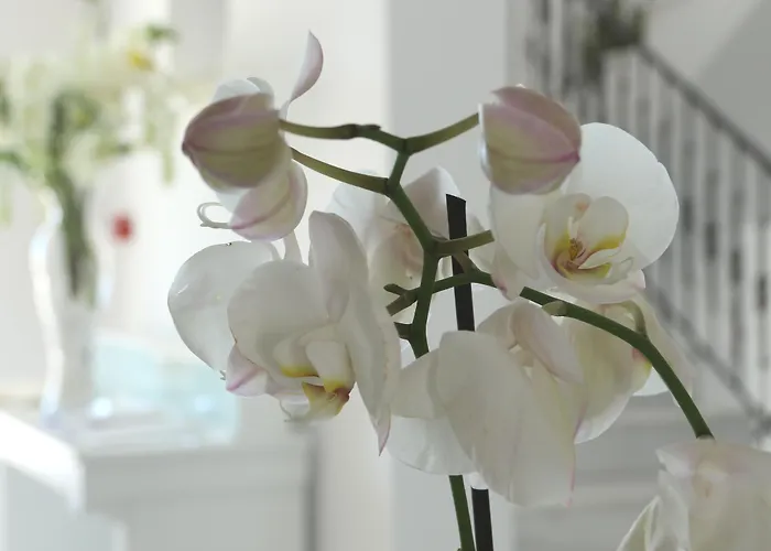 Astro Palace & Hotell 5*