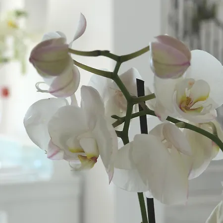 Astro Palace & Hotel 5*