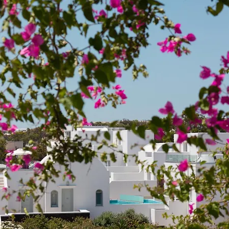 Hotel Astro Palace &