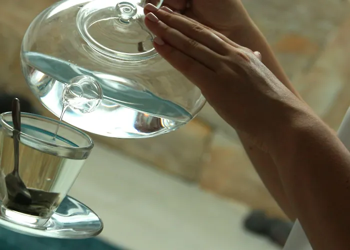 天文宫套房酒店 费拉