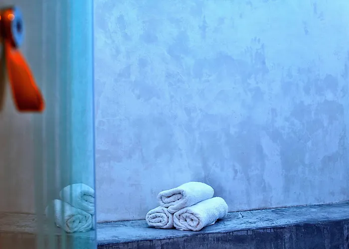 天文宫套房酒店 费拉