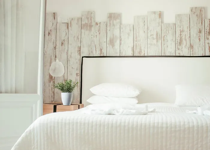 酒店 天文宫套房酒店 费拉